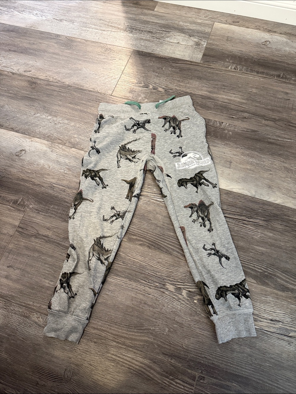 H&M Jurassic World Kids Grey Dinosaur Print Jogger Pants